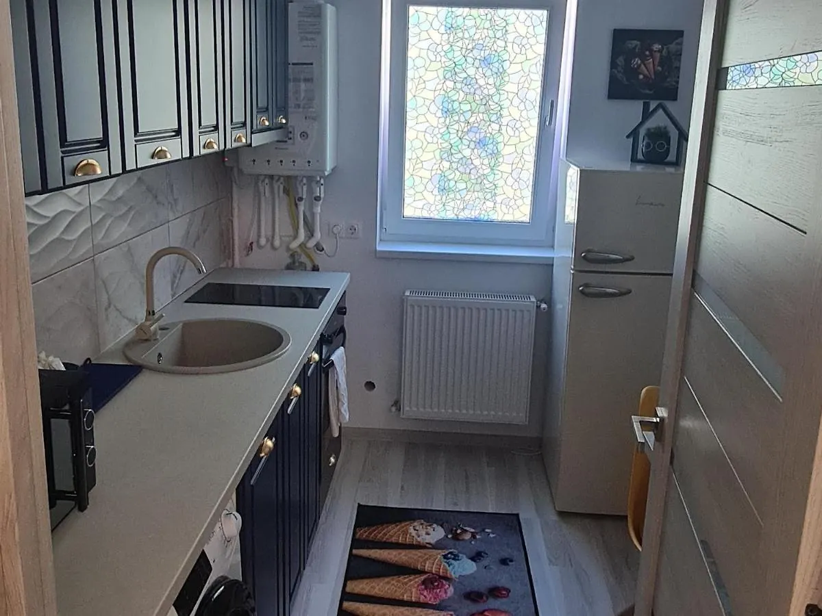 Siriului Studio Bucharest Apartment