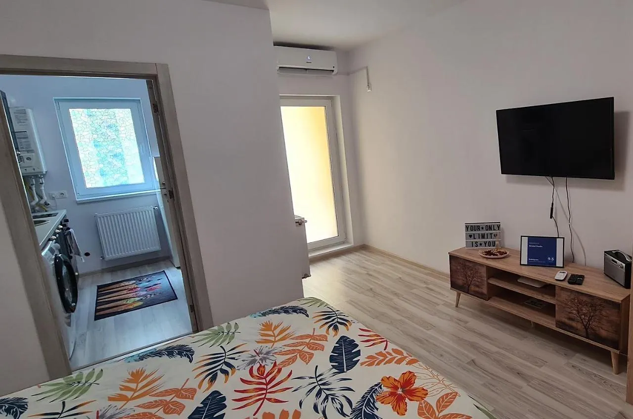 Siriului Studio Bucharest Apartment